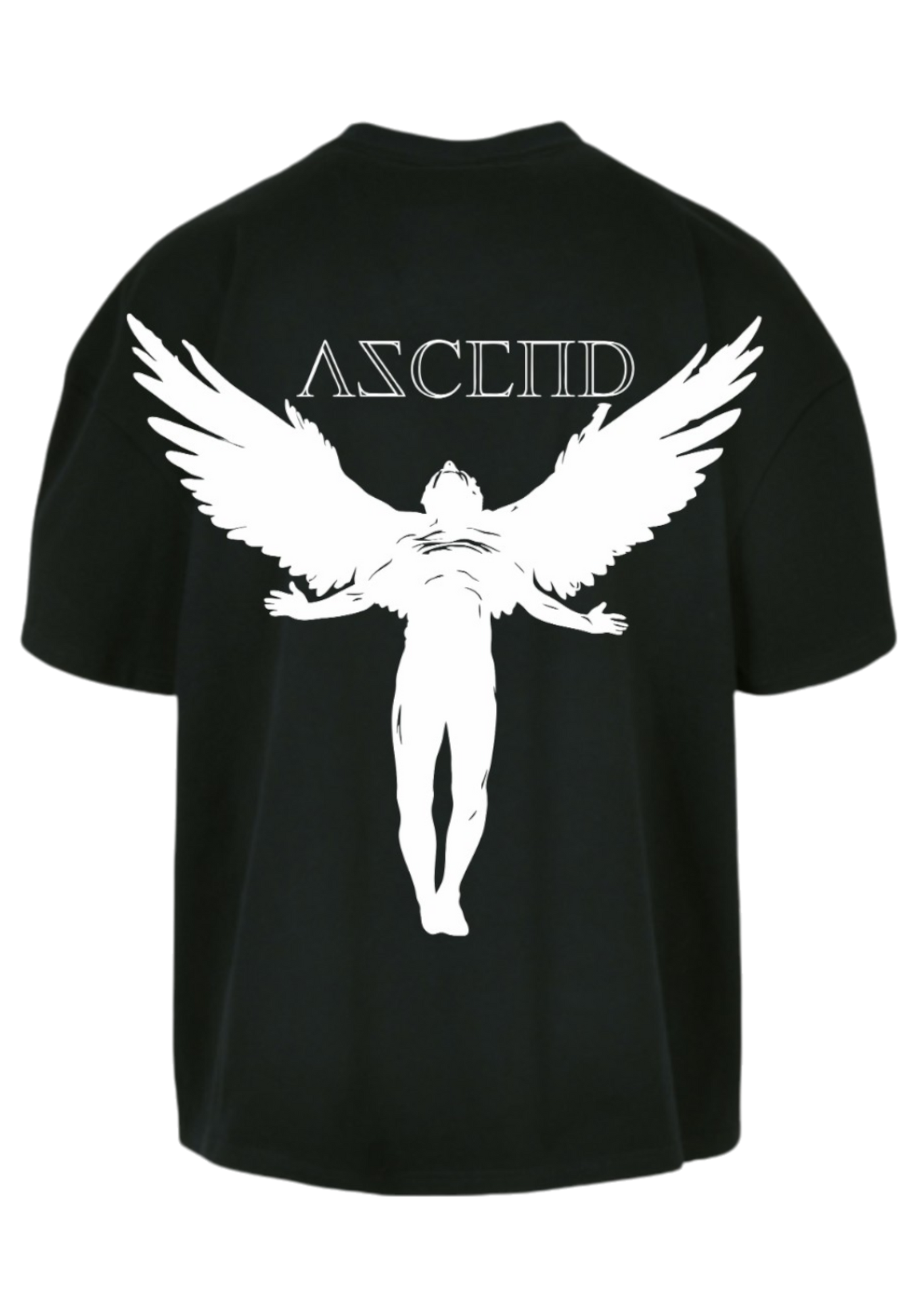Icarus Heavy T-Shirt